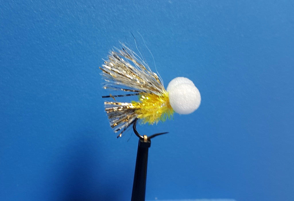 Sunburst Sparkler Booby