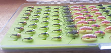 Boxed Fly Selections Starts at 50 flies