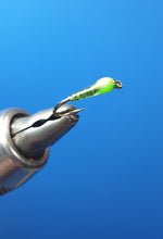 Gel Buzzers - New 2020 Olive Body