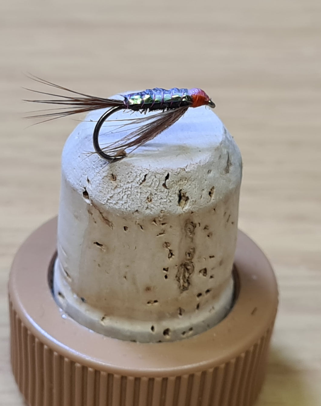 Diawl Bach Shiny Sides - New 2020