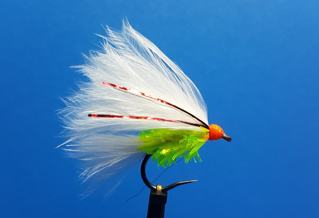 White Flash Cat