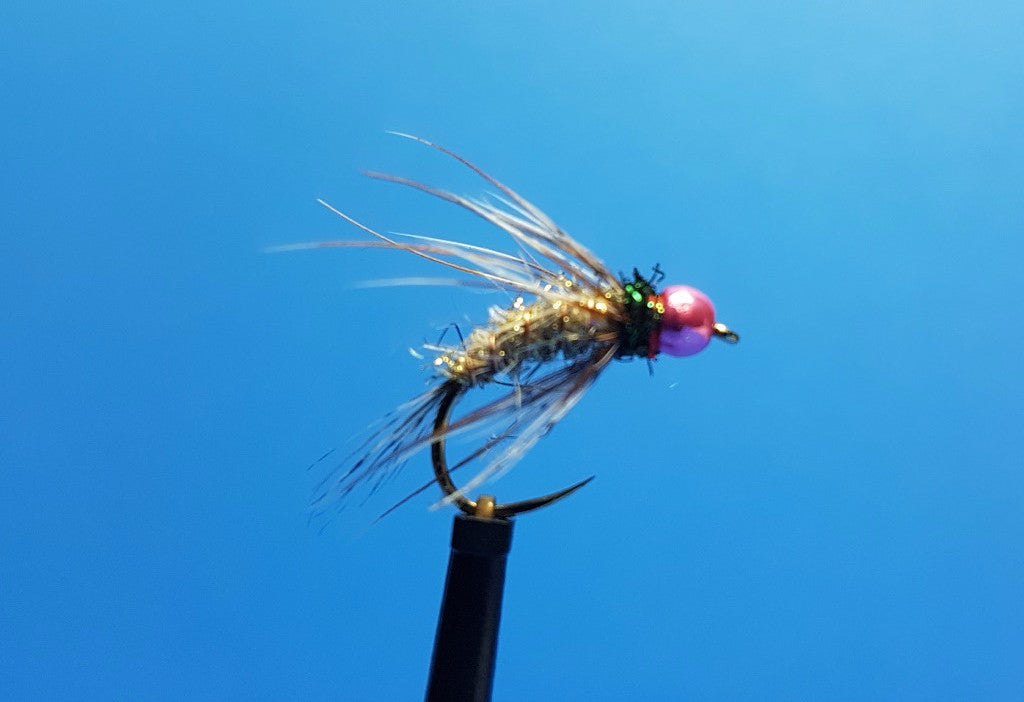 Shizer Fly (Fly for Poland)