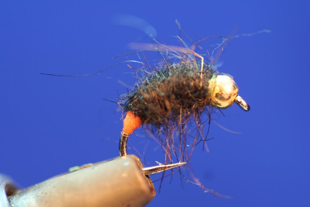 Czech Nymph Controller Fly (French Bug) Barbless