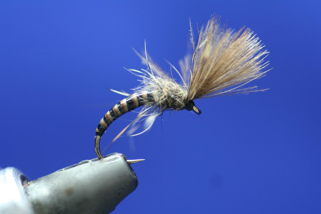Stripped Quill CDC Shuttlecocks