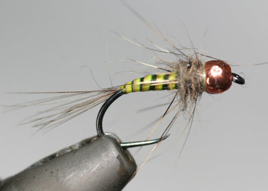 Stripped Quill River Bugs