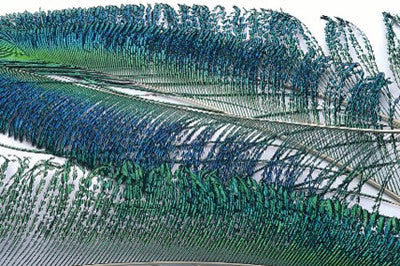 Veniards Peacock Swords (Pair)
