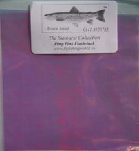 DA Shellback - Sheet