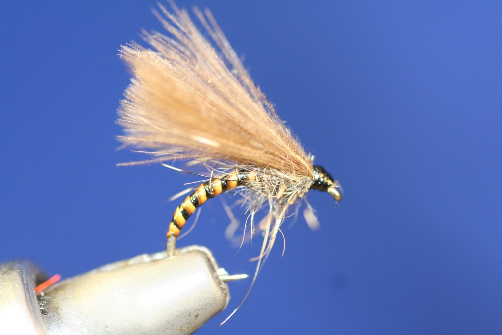 Stripped Quill F-Flys